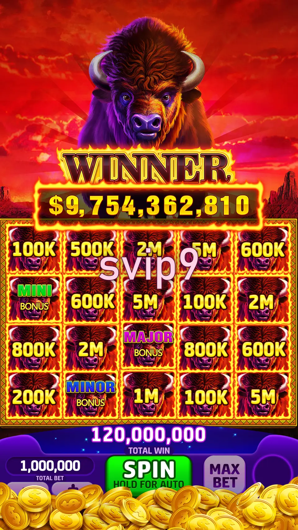 svip9 Masuk
